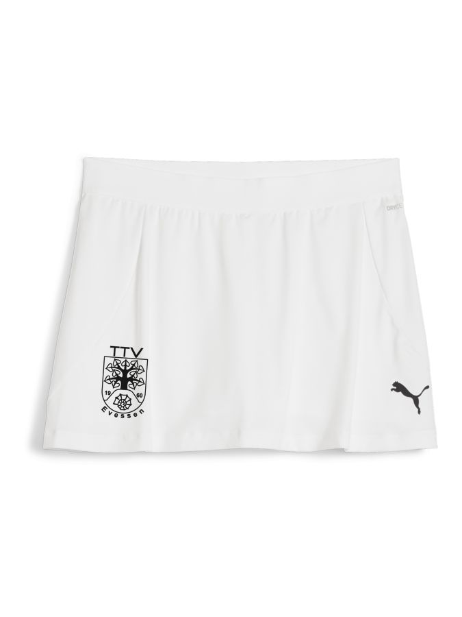 PUMA teamGOAL Rock