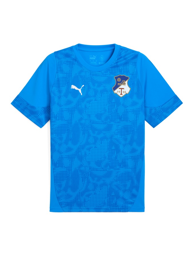 PUMA teamCUP Trainingsshirt