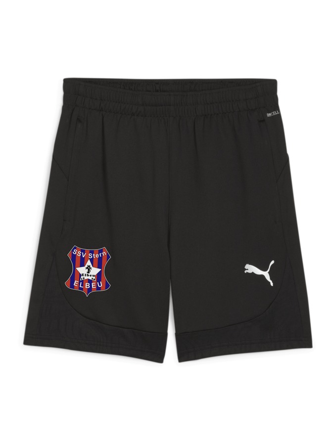 PUMA teamFINAL Training Shorts