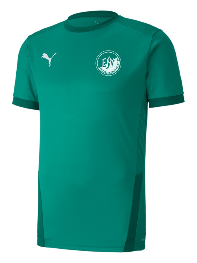 PUMA teamGOAL 23 Trikot