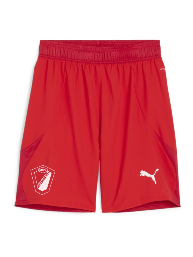 PUMA teamFINAL Shorts