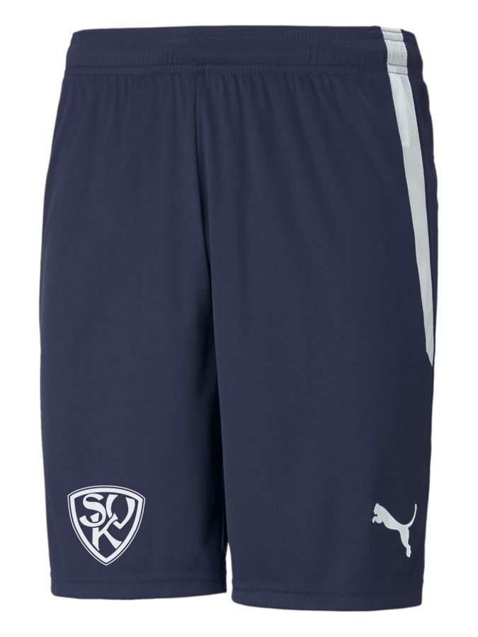 PUMA teamLIGA Shorts