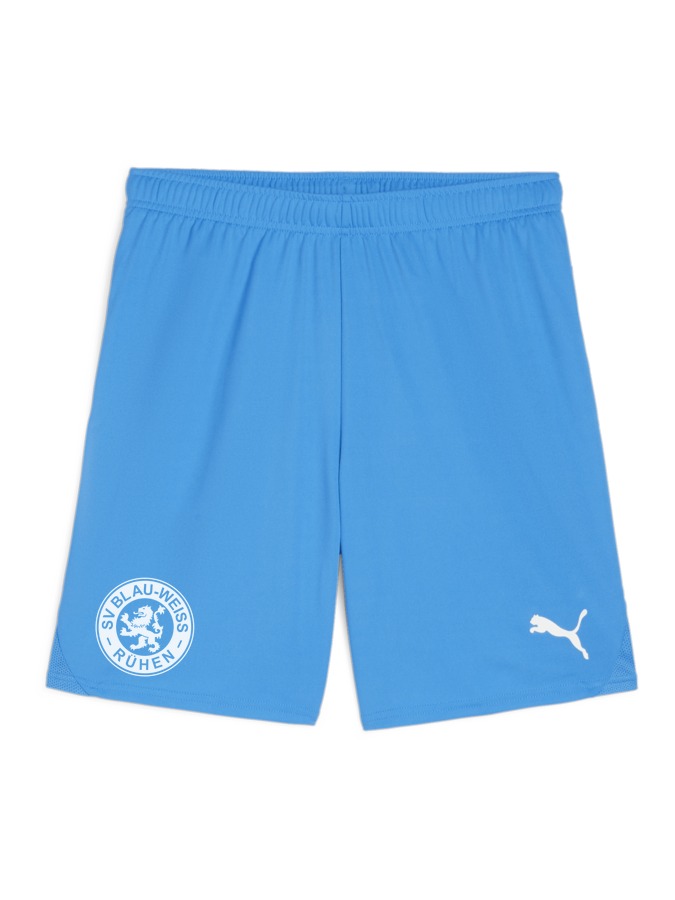 PUMA teamGOAL Shorts