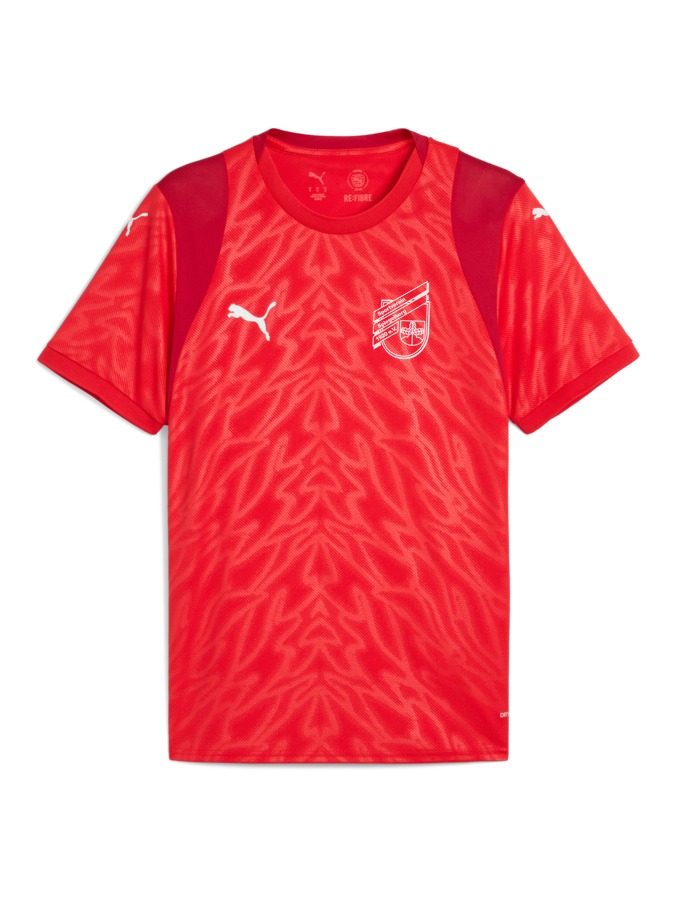 PUMA teamCUP Trikot