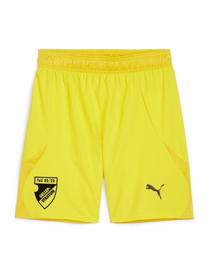 PUMA teamFINAL Shorts