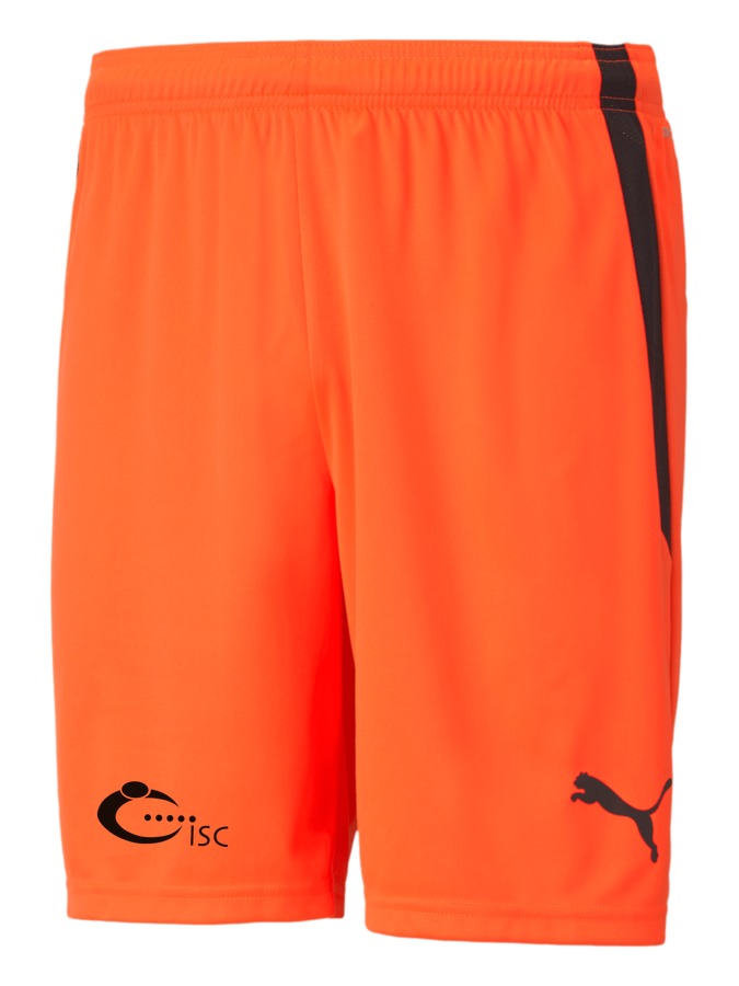 PUMA teamLIGA Shorts