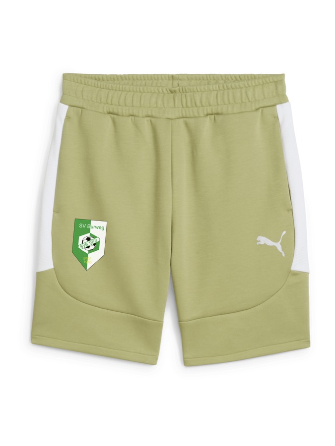 PUMA teamEVOSTRIPE Shorts