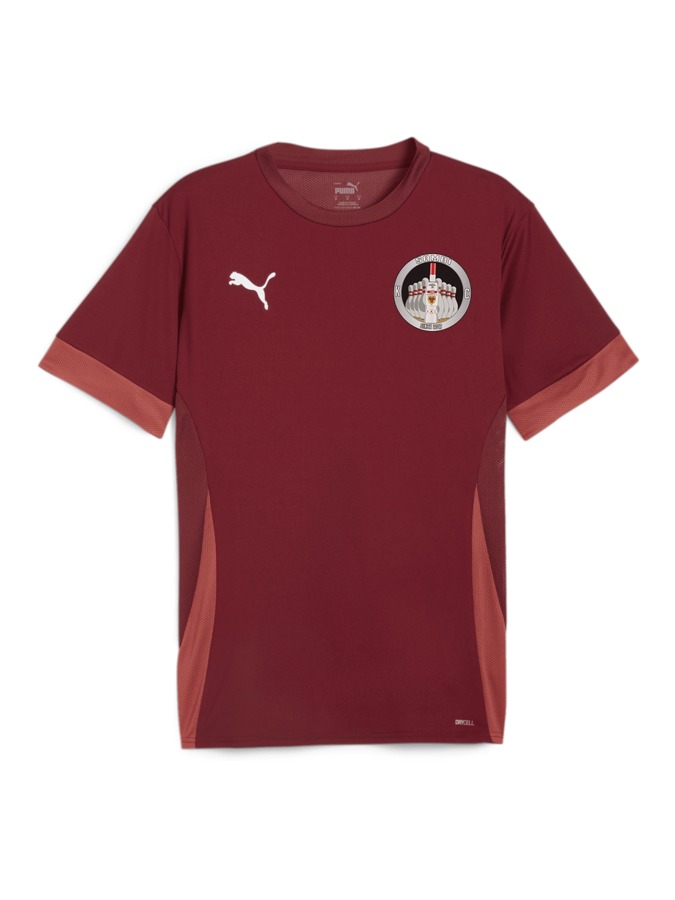 PUMA teamGOAL Matchday Trikot