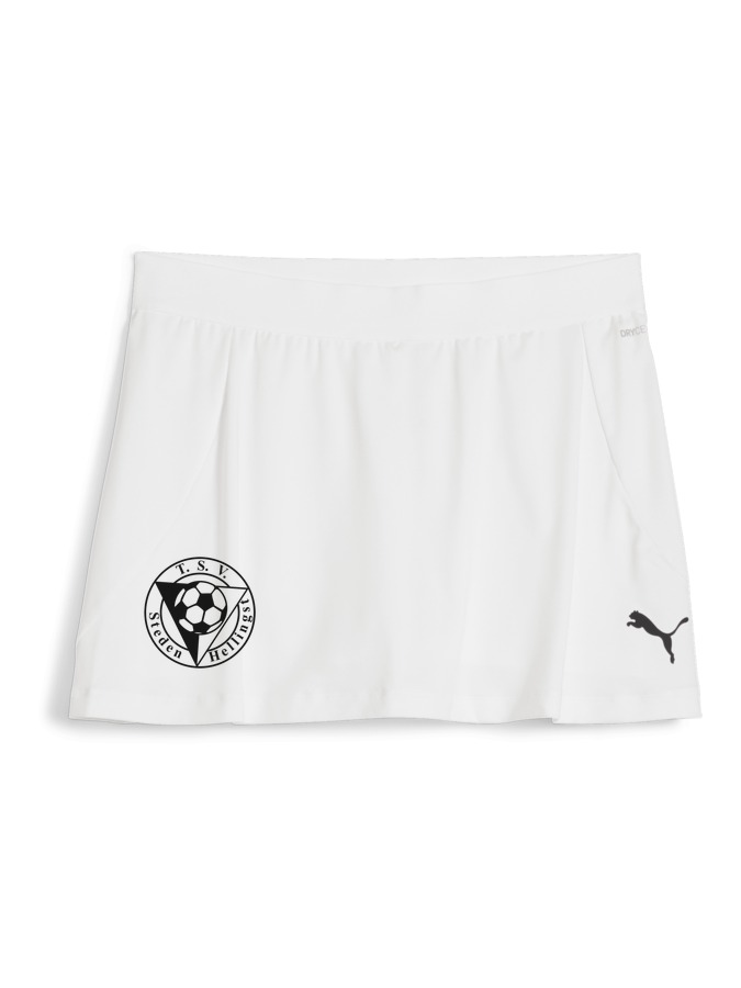 PUMA teamGOAL Rock