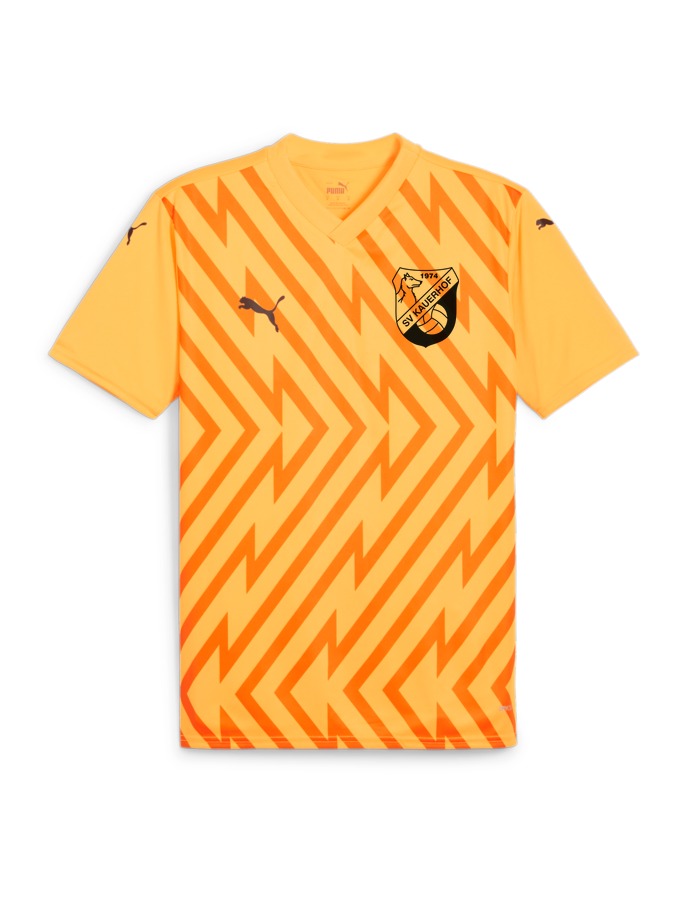 PUMA teamGLORY Trikot