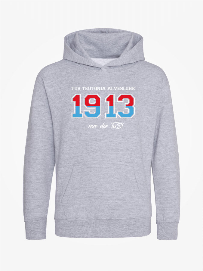 Hoodie Established Kids