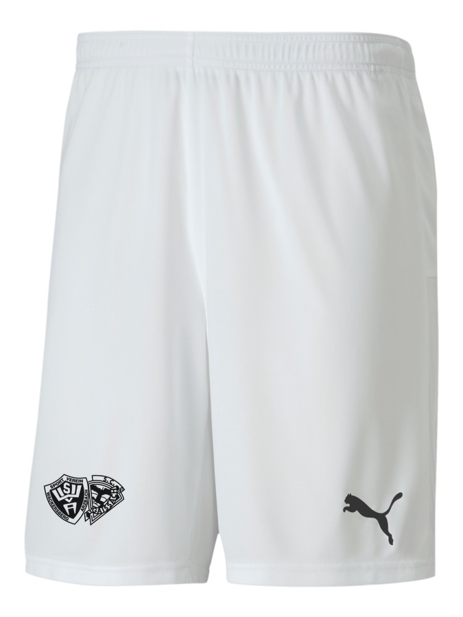 PUMA teamGOAL 23 Knit Shorts