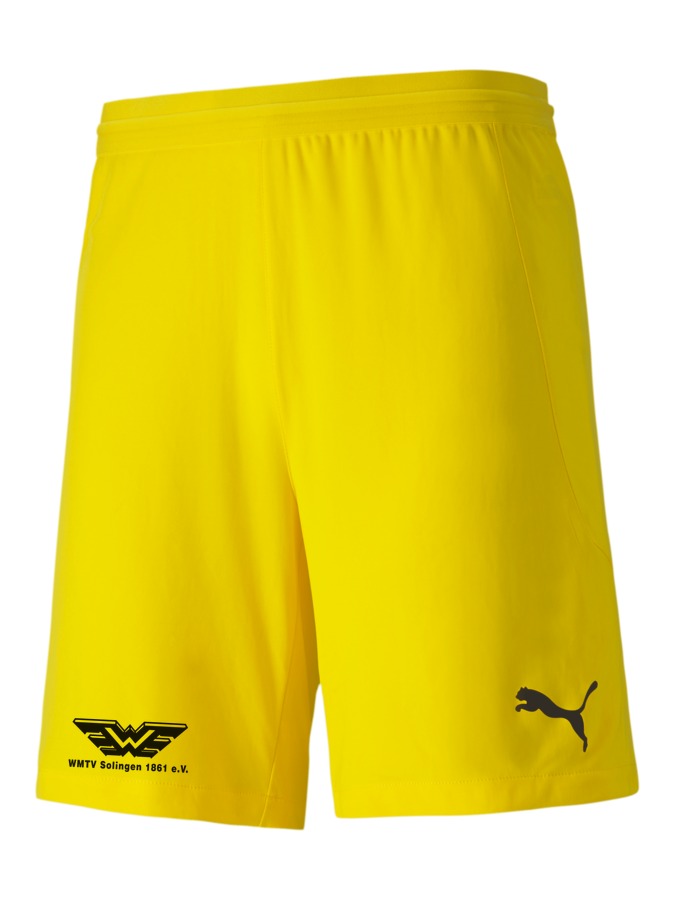 PUMA teamFINAL 21 Knit Shorts