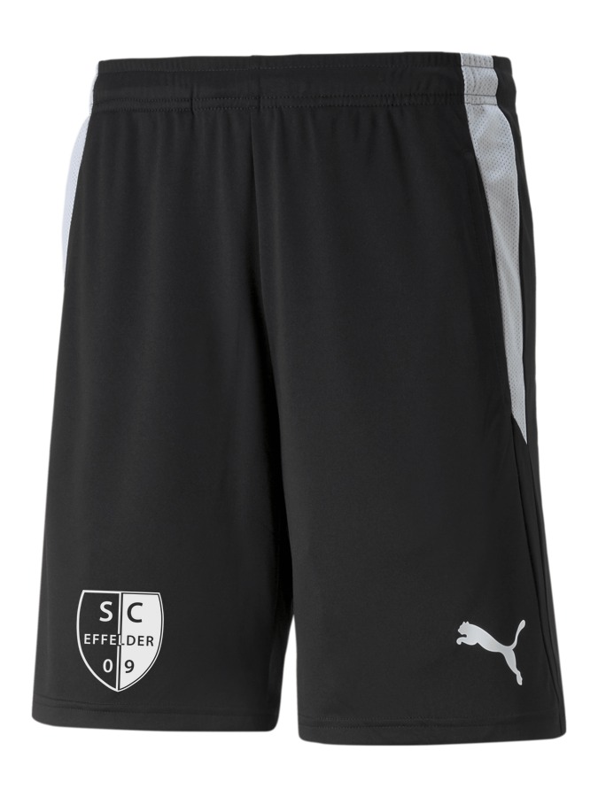 PUMA teamLIGA Referee Shorts