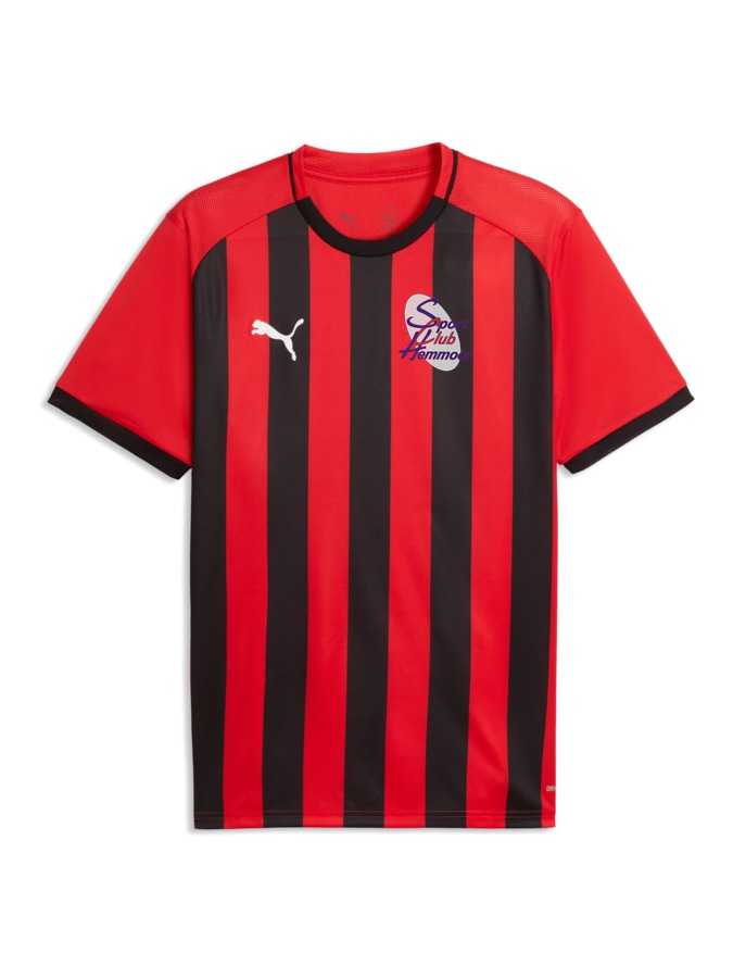 PUMA teamLIGA26 Striped Trikot
