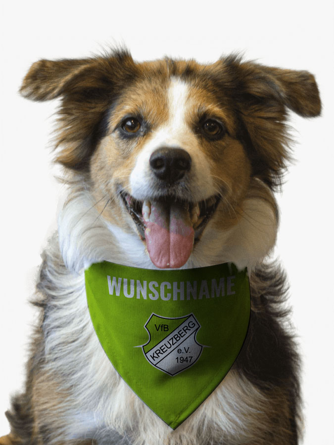 Hundehalstuch