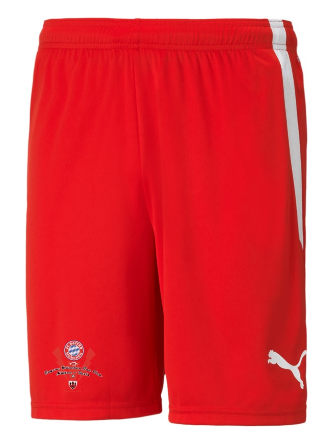 PUMA teamLIGA Shorts