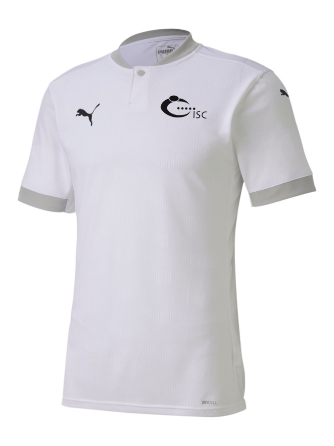 PUMA teamFINAL 21 Trikot
