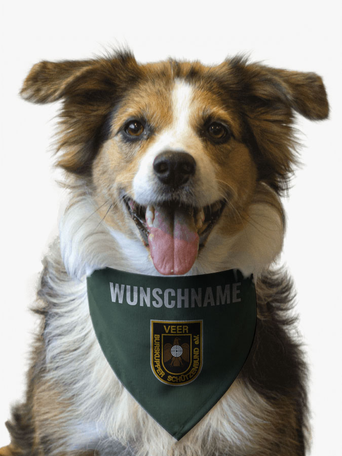 Hundehalstuch