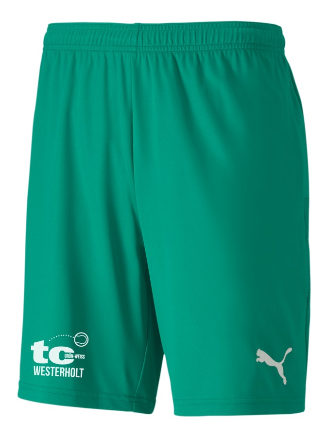 PUMA teamGOAL 23 Knit Shorts