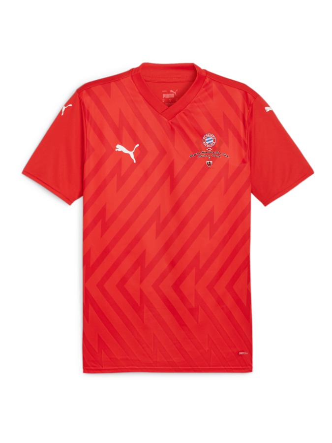 PUMA teamGLORY Trikot