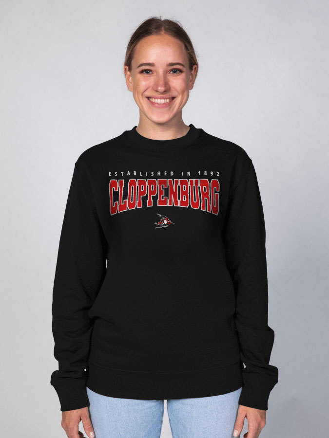 Sweater Retro Damen