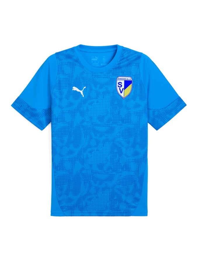 PUMA teamCUP Trainingsshirt
