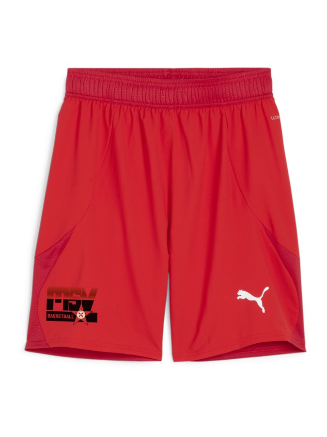 PUMA teamFINAL Shorts