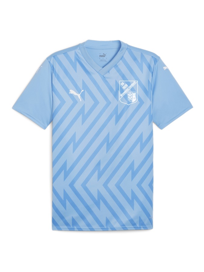 PUMA teamGLORY Trikot