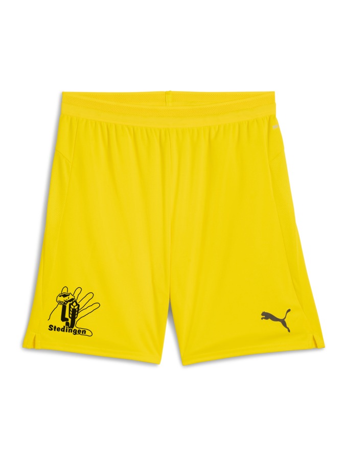 PUMA teamCUP Shorts
