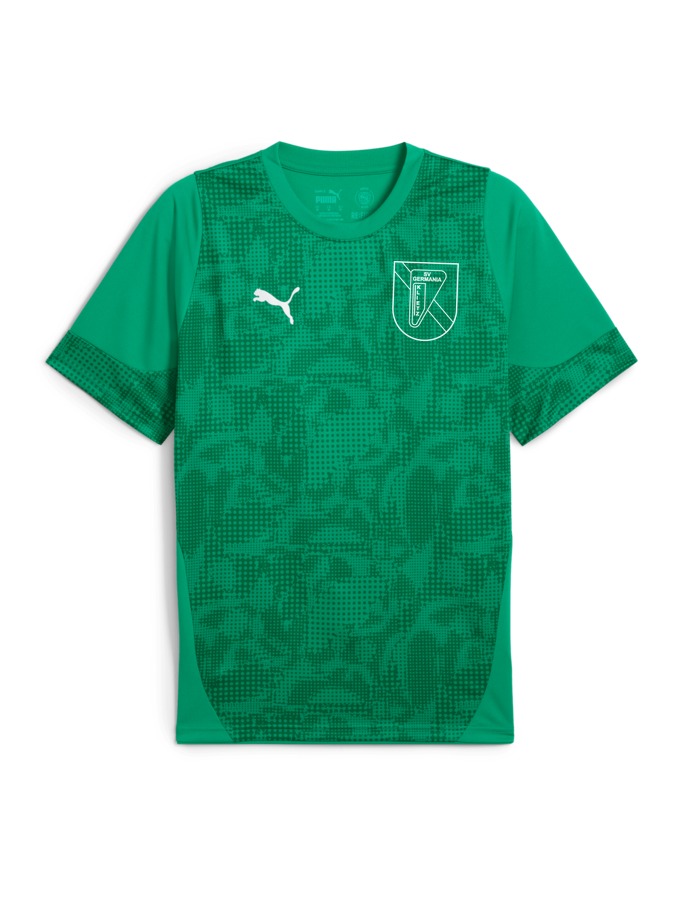 PUMA teamCUP Trainingsshirt