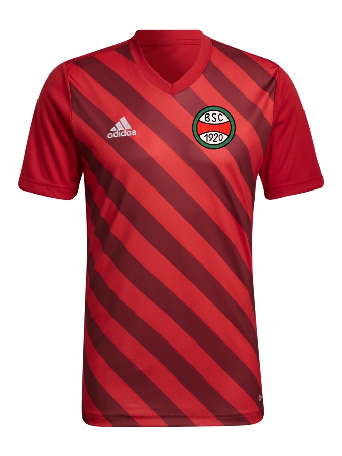 adidas Entrada 22 GFX Trikot