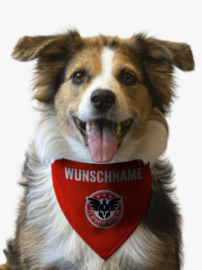 Hundehalstuch