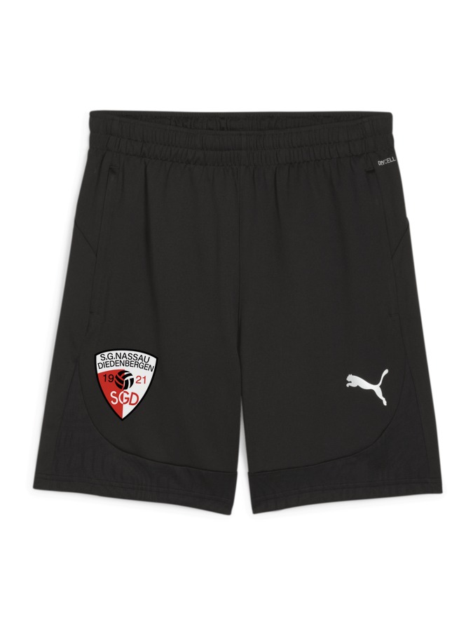 PUMA teamFINAL Training Shorts