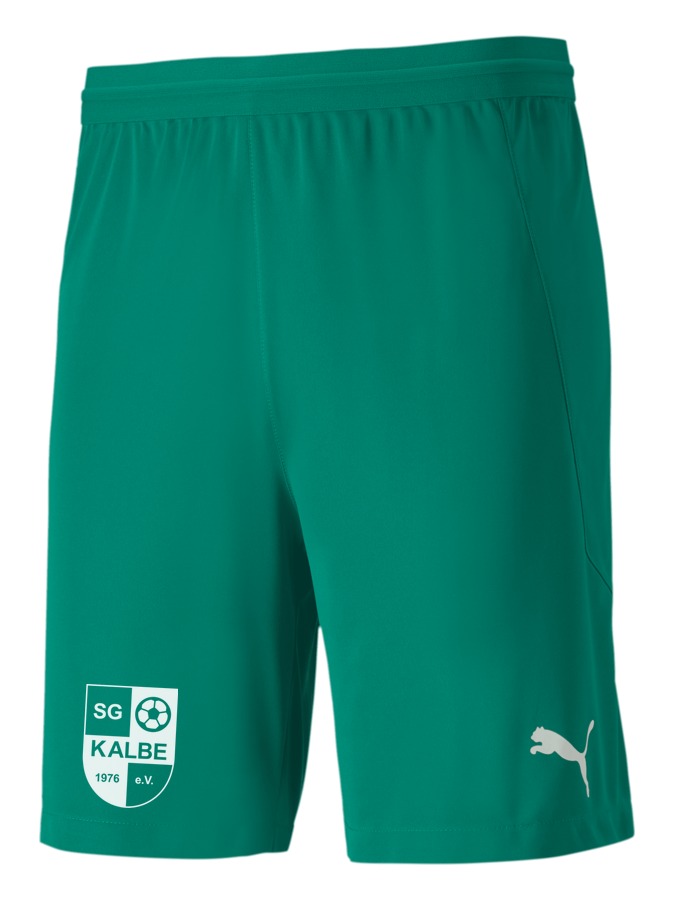 PUMA teamFINAL 21 Knit Shorts