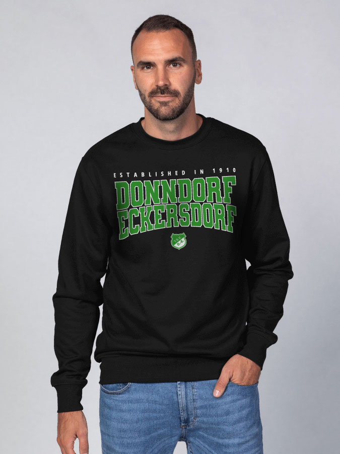 Sweater Retro Herren