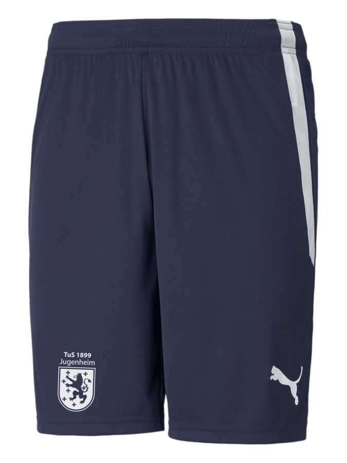 PUMA teamLIGA Shorts