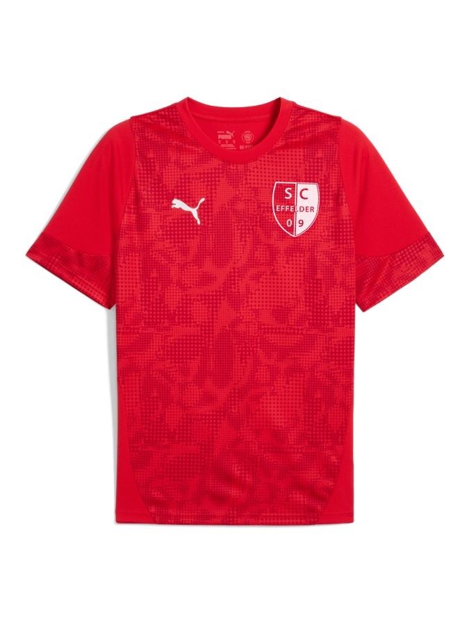 PUMA teamCUP Trainingsshirt