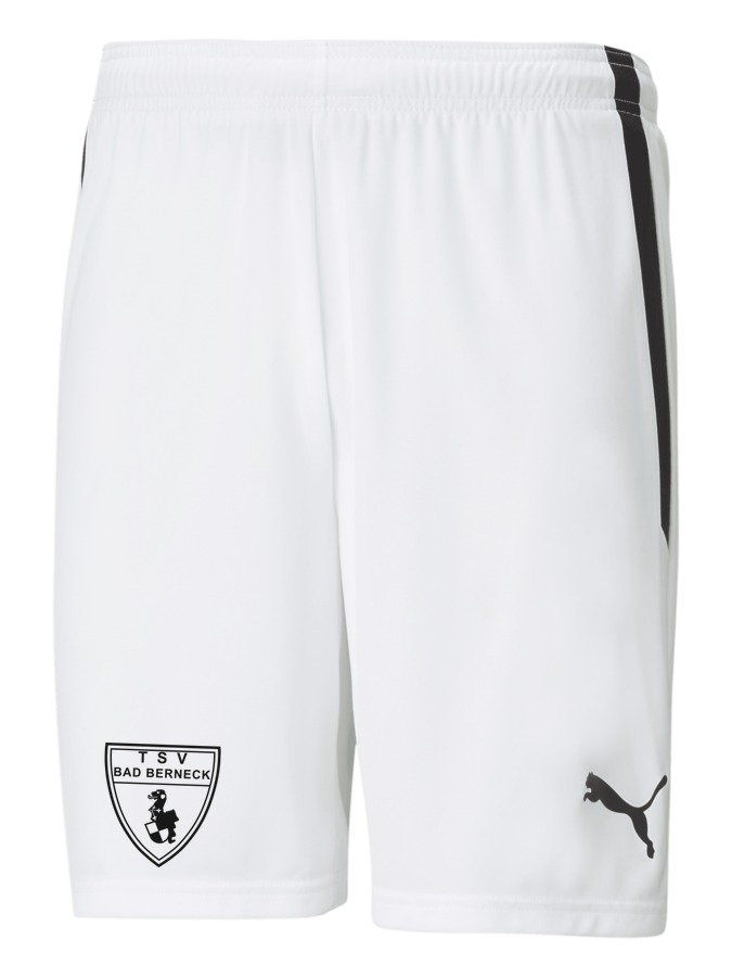 PUMA teamLIGA Shorts