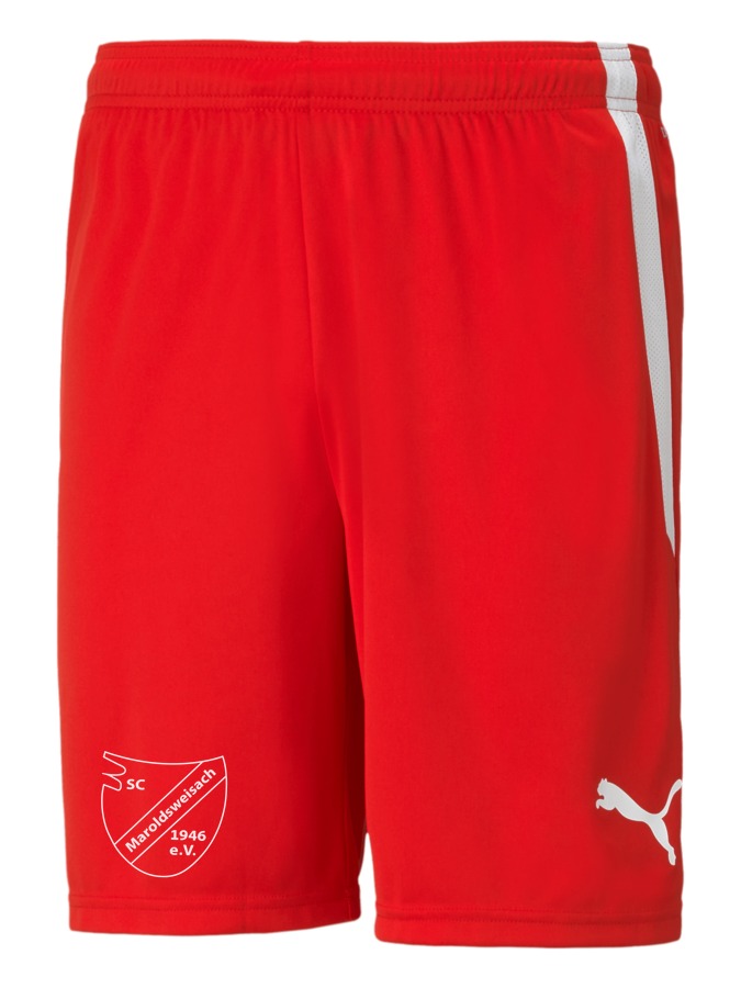 PUMA teamLIGA Shorts