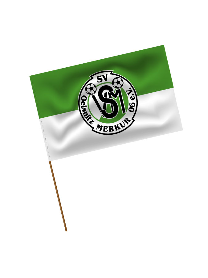 Stadionfahne Logo