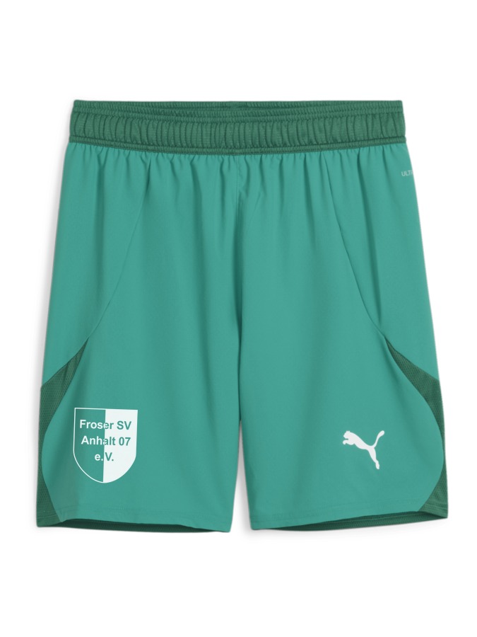 PUMA teamFINAL Shorts