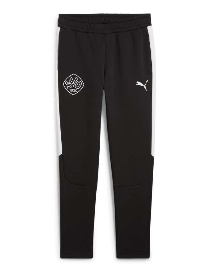 PUMA teamEVOSTRIPE Hose
