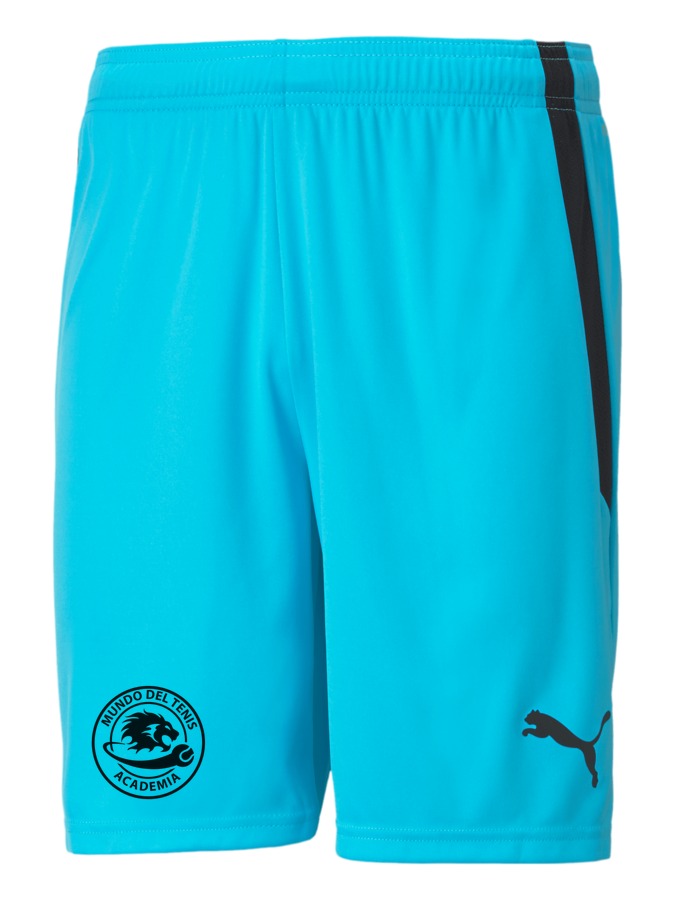 PUMA teamLIGA Shorts