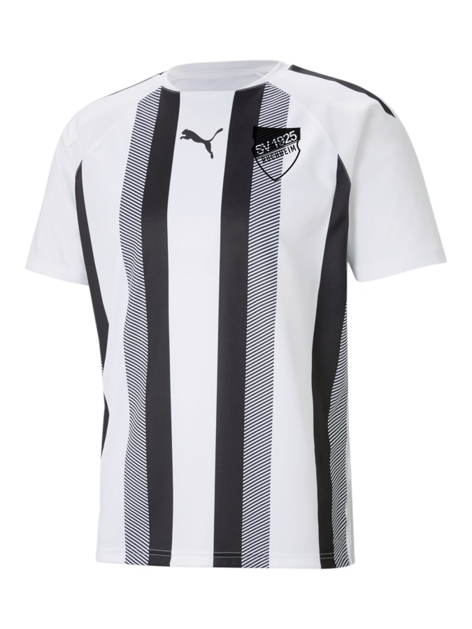 PUMA teamLIGA Striped Trikot
