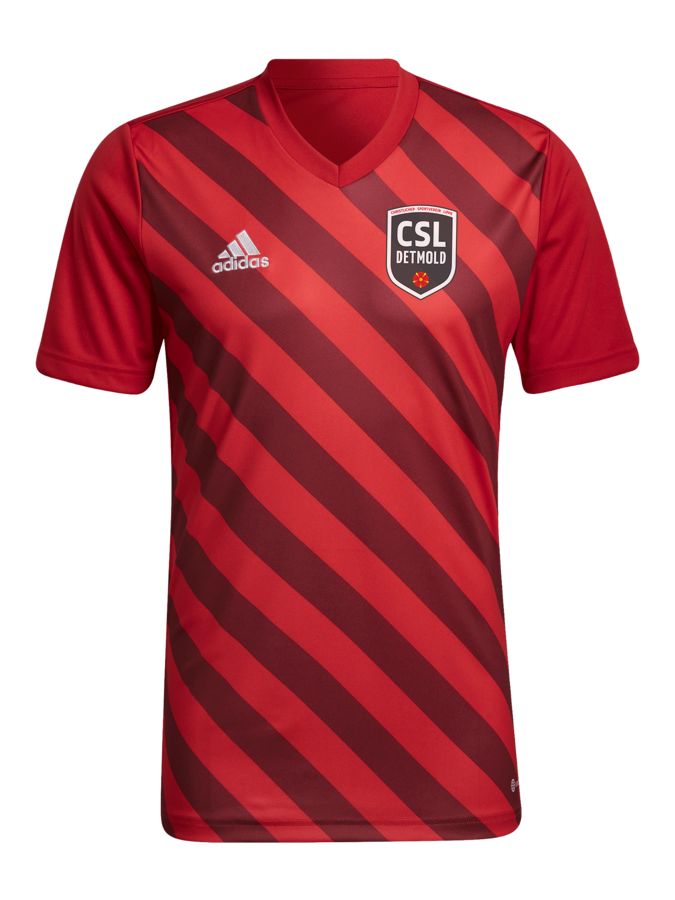 adidas Entrada 22 GFX Trikot