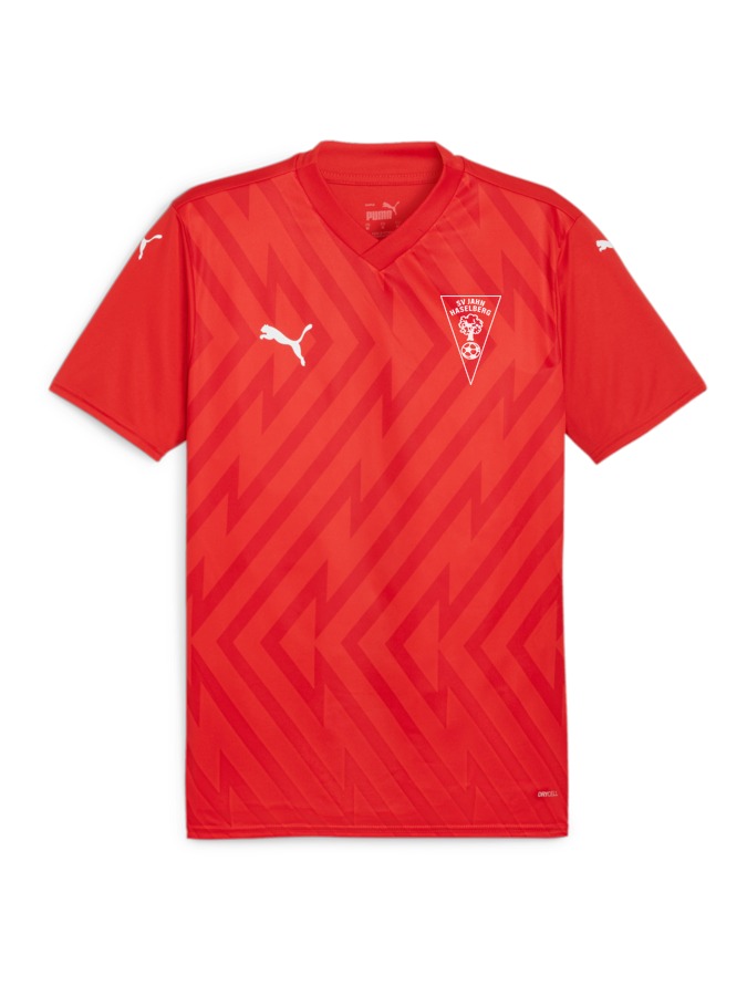 PUMA teamGLORY Trikot