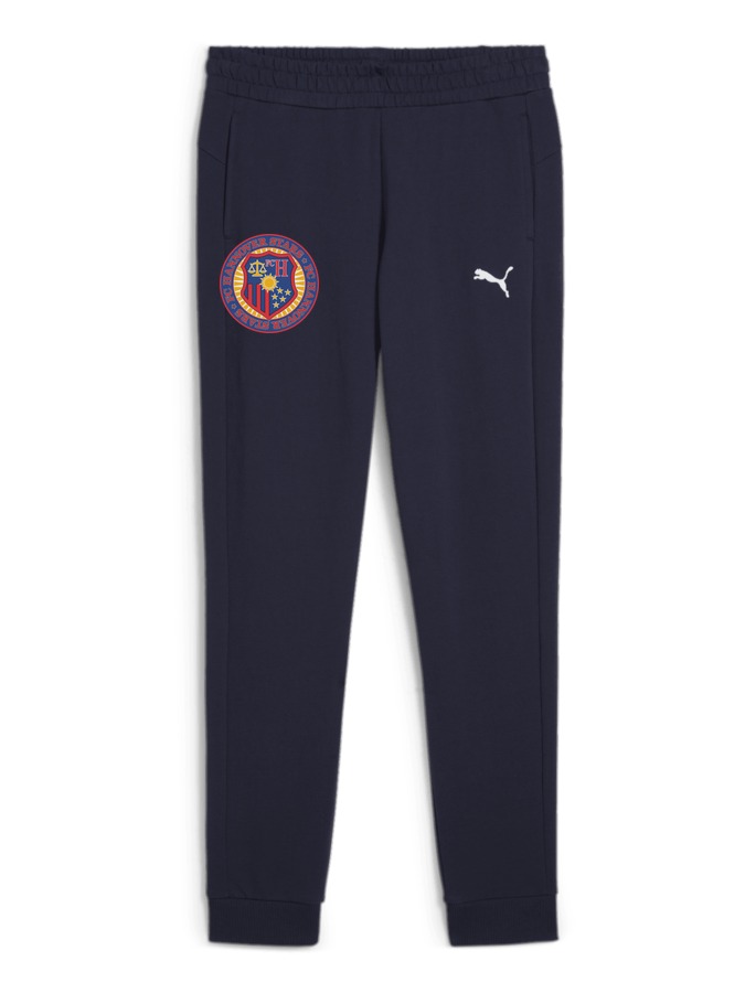 PUMA teamGOAL Casuals Hose Damen