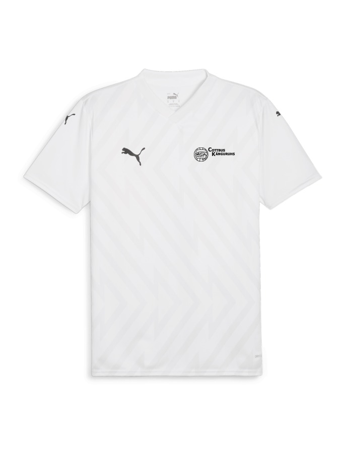 PUMA teamGLORY Trikot