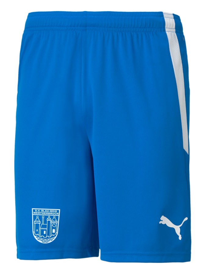 PUMA teamLIGA Shorts